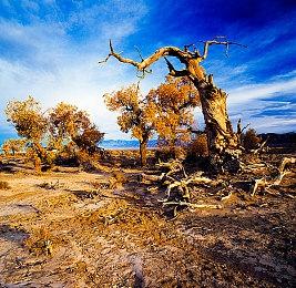 《霍格沃茨之遗》PS5＆PC补丁上线 改进游戏性能